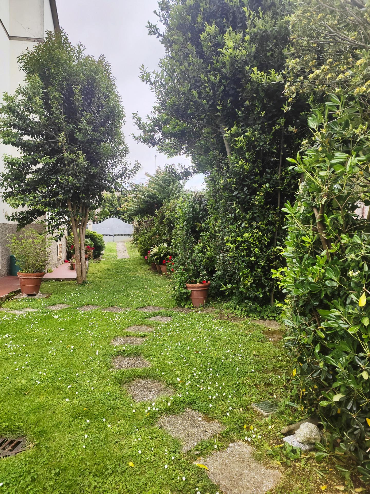 Foto annuncio 6