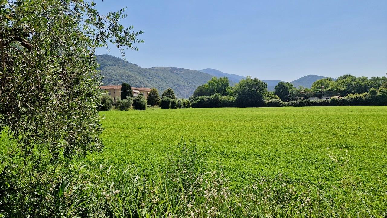 Foto annuncio 31