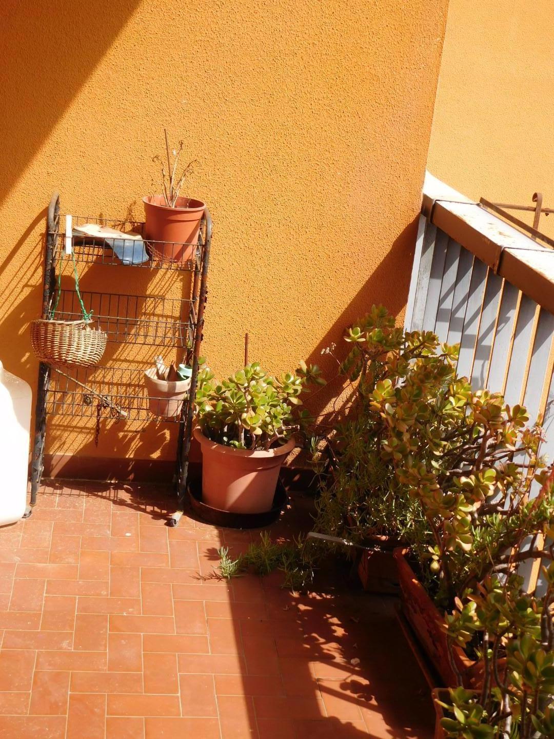 Foto annuncio 7