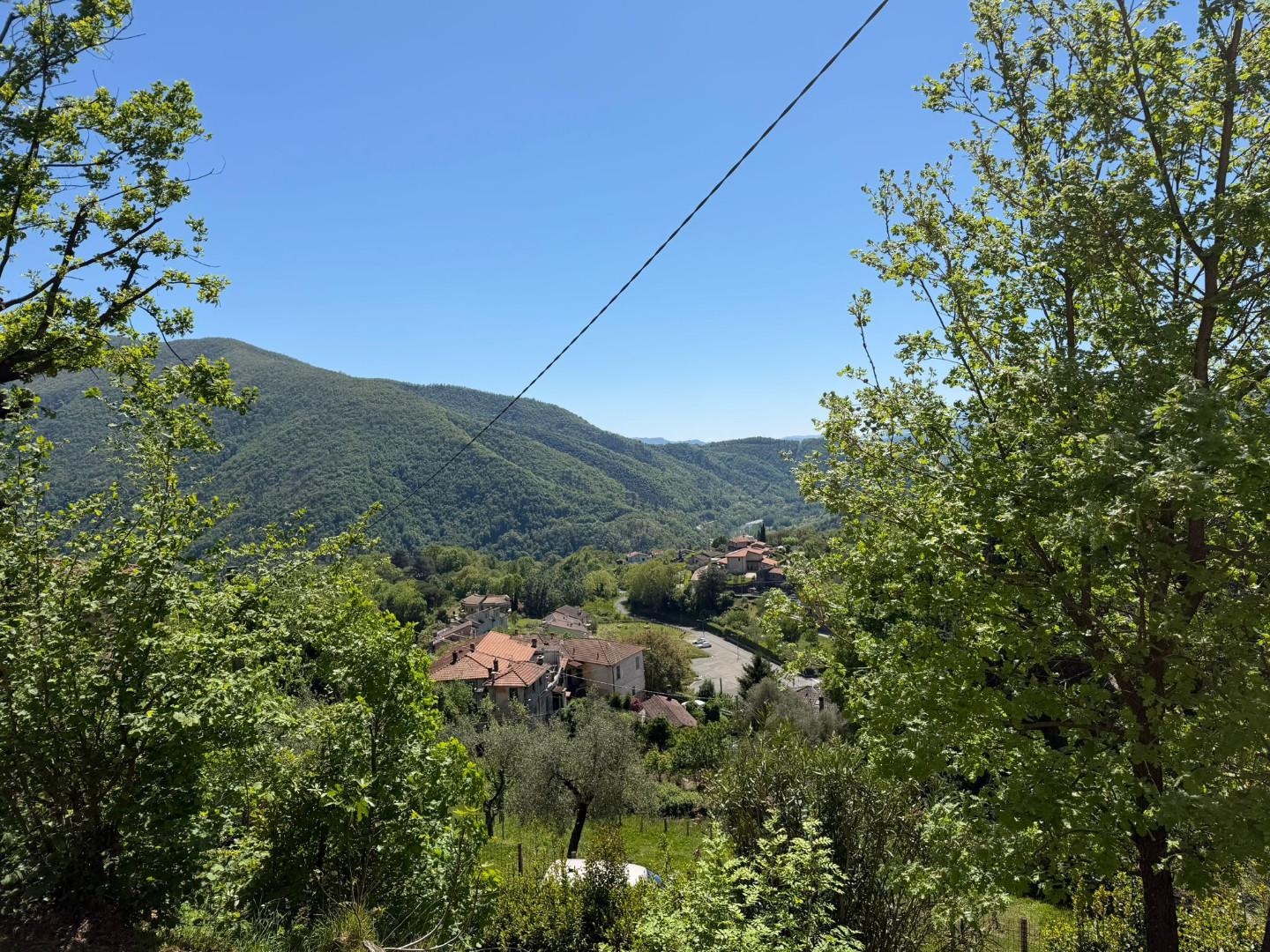 Foto annuncio 29