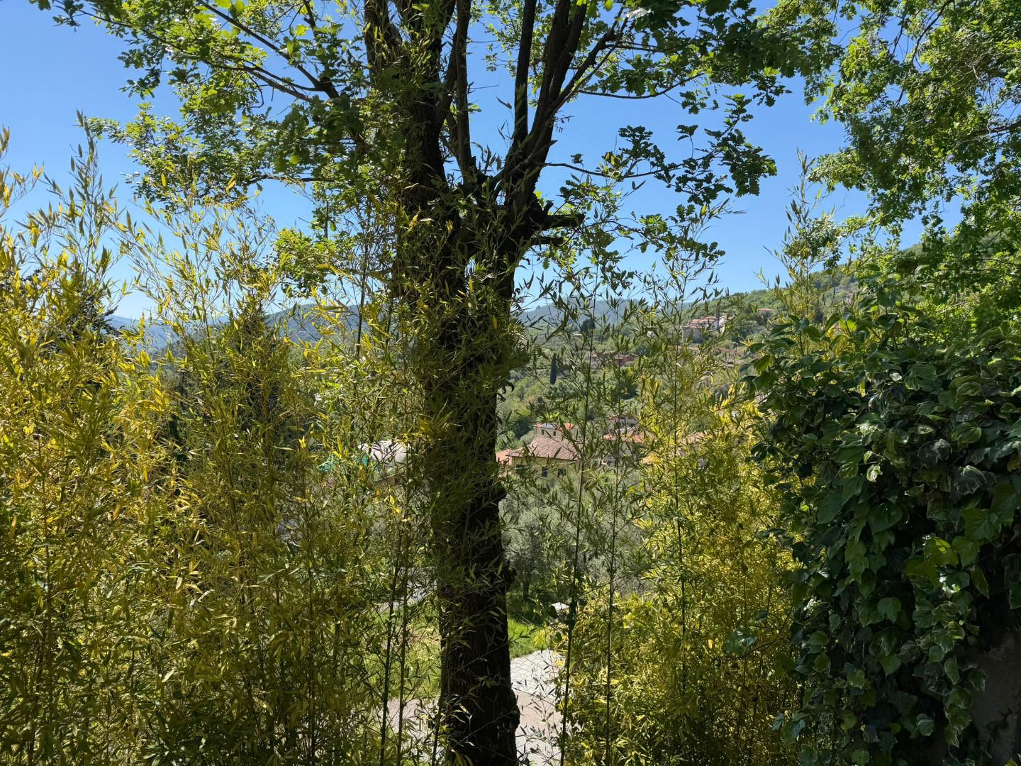 Foto annuncio 33