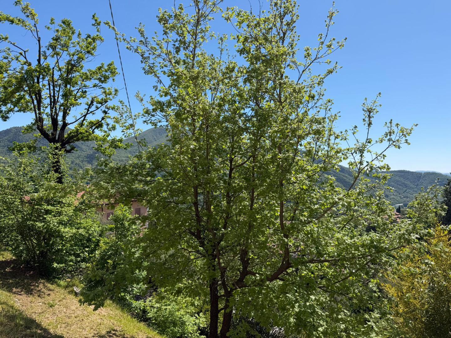 Foto annuncio 31