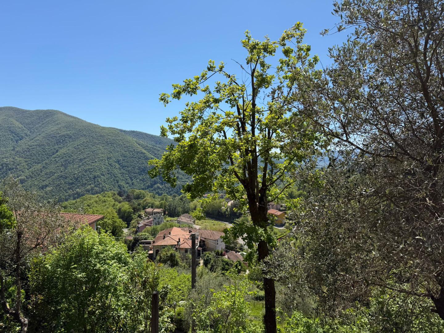 Foto annuncio 25