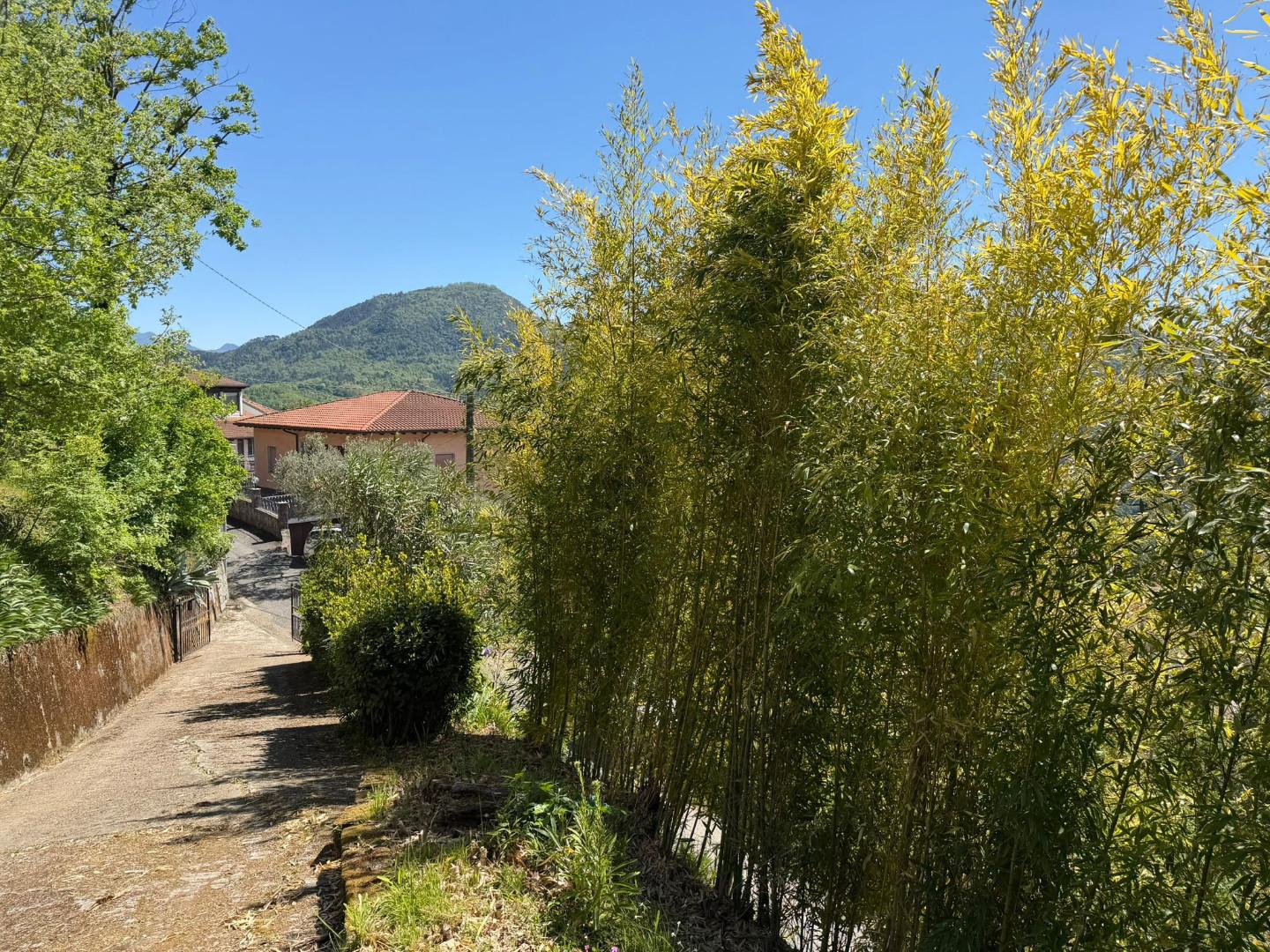 Foto annuncio 34