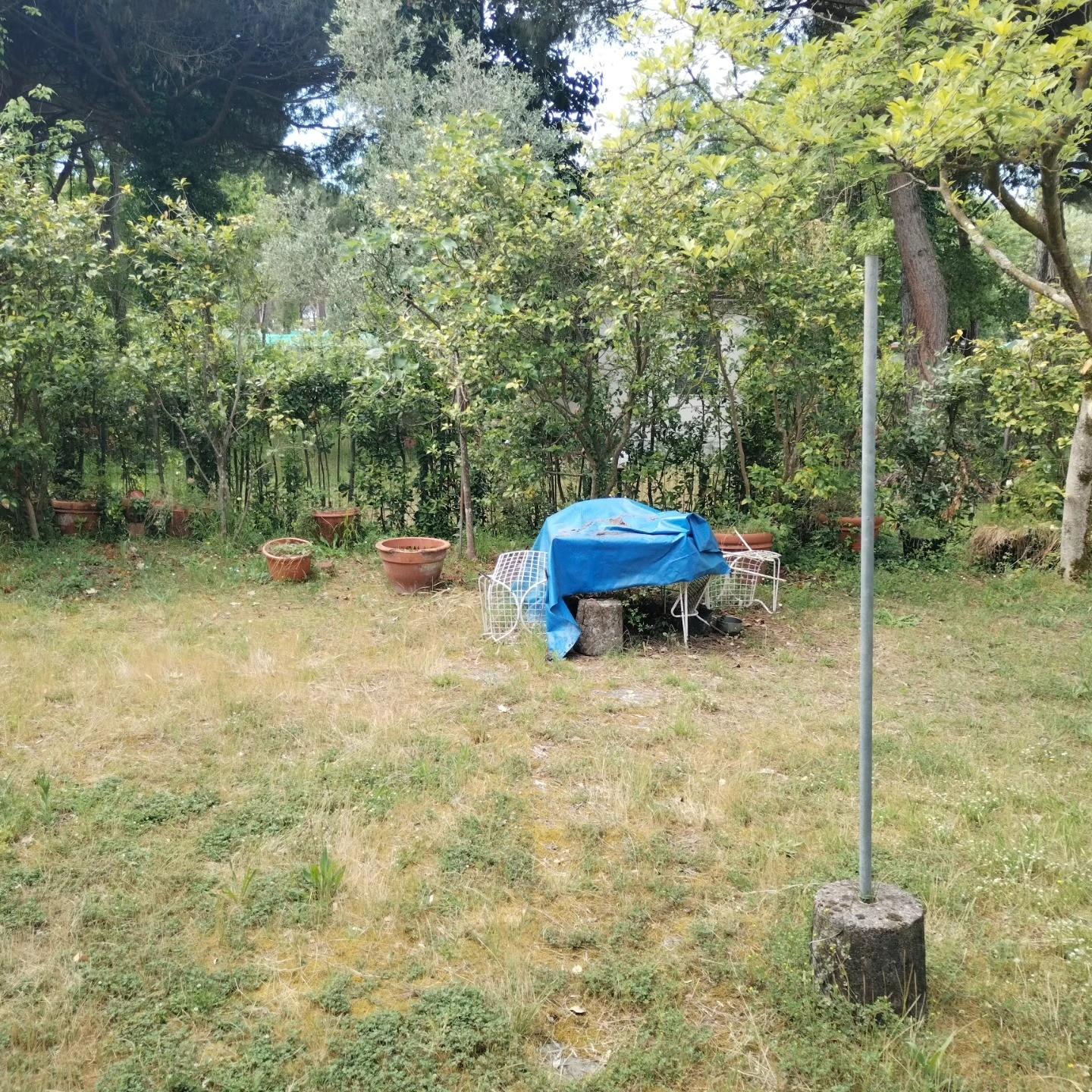 Foto annuncio 4