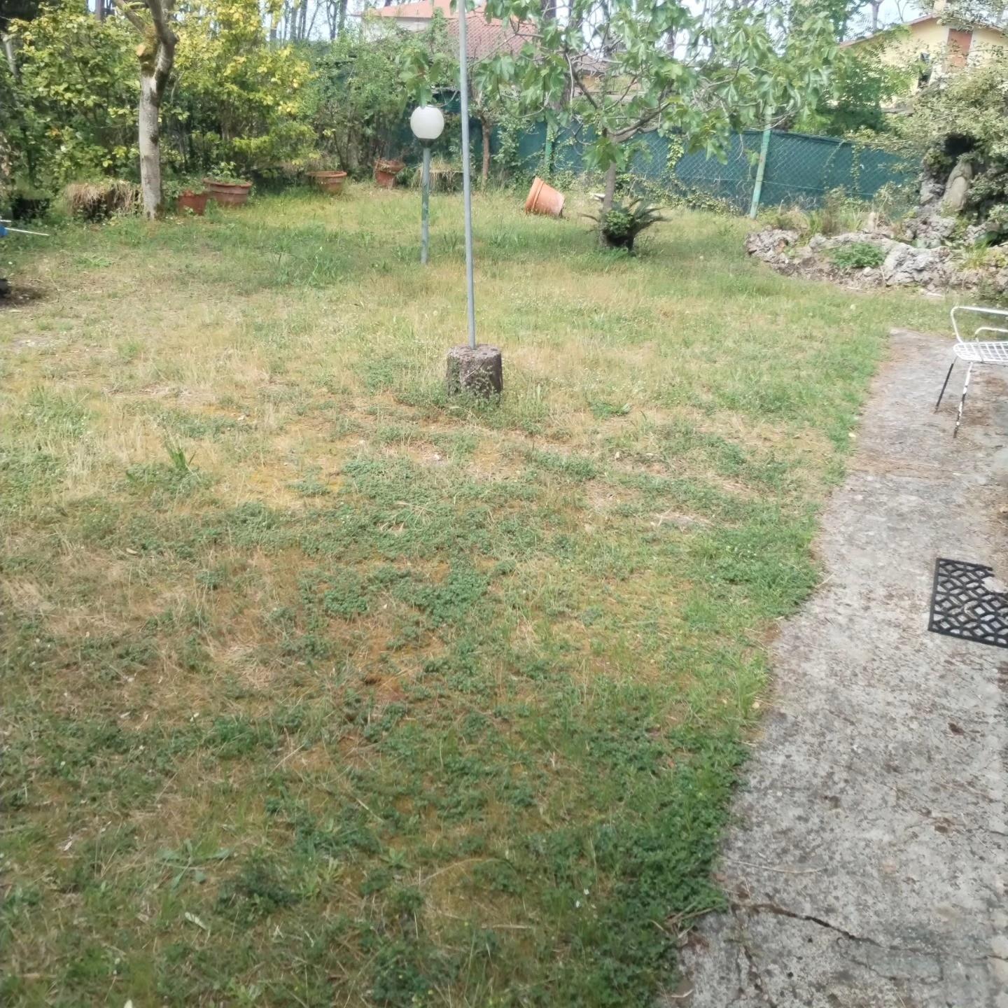 Foto annuncio 6