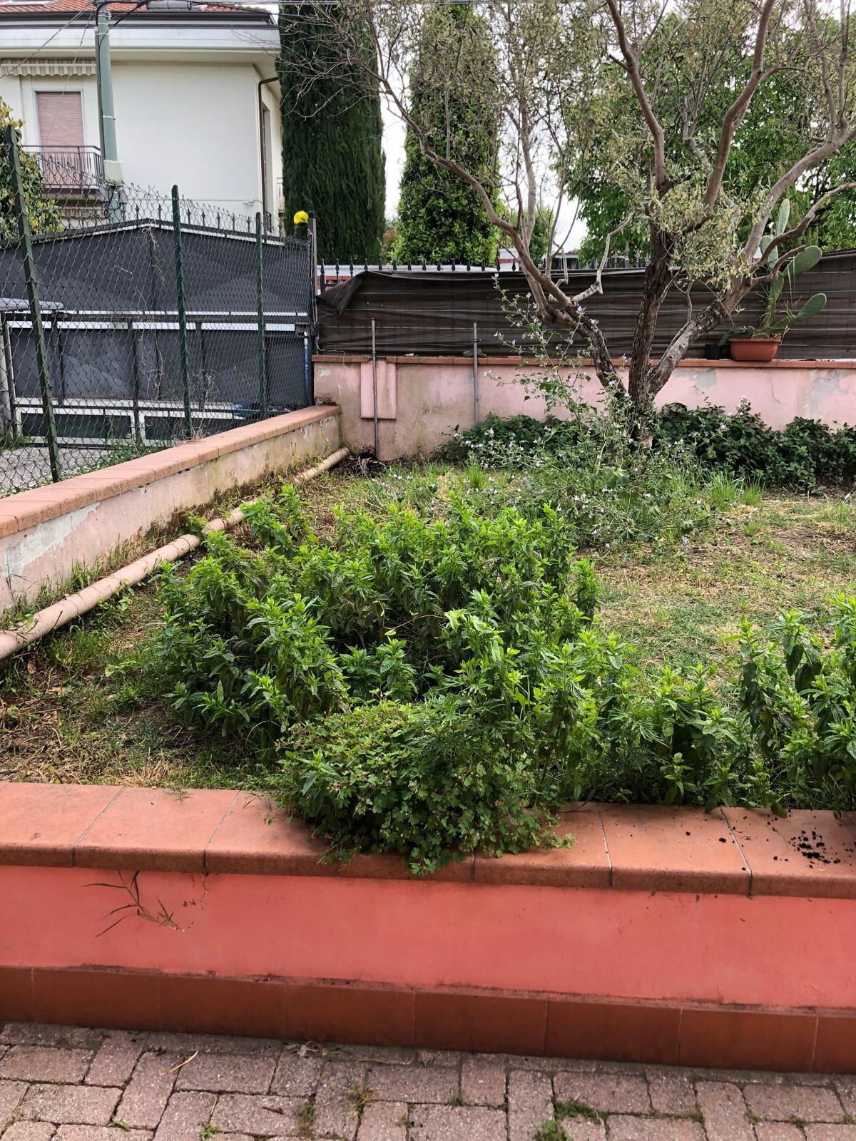Foto annuncio 6