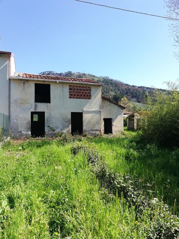 Foto annuncio 1