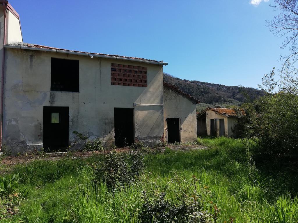 Foto annuncio 2