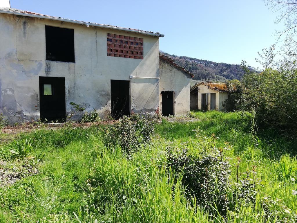 Foto annuncio 3