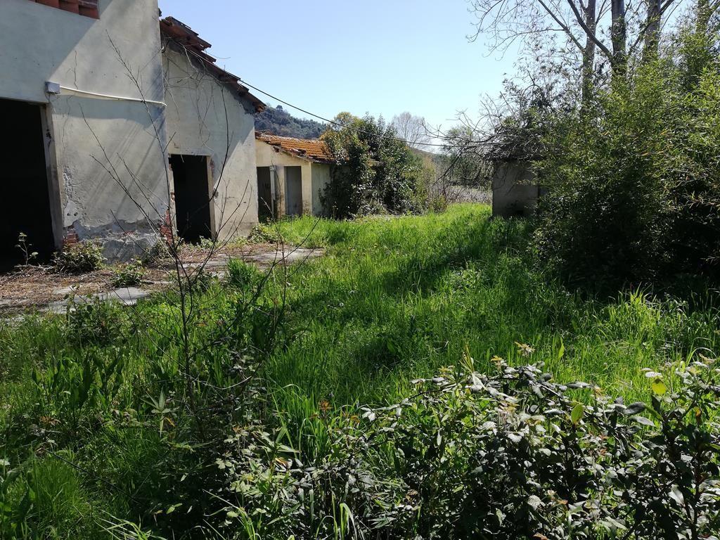 Foto annuncio 4