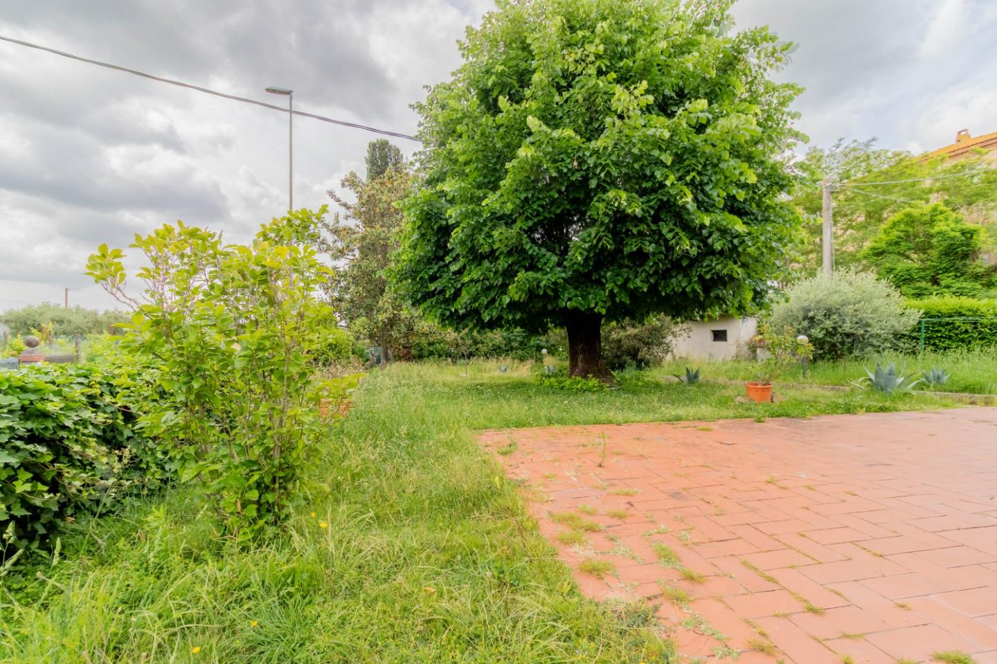 Foto annuncio 35