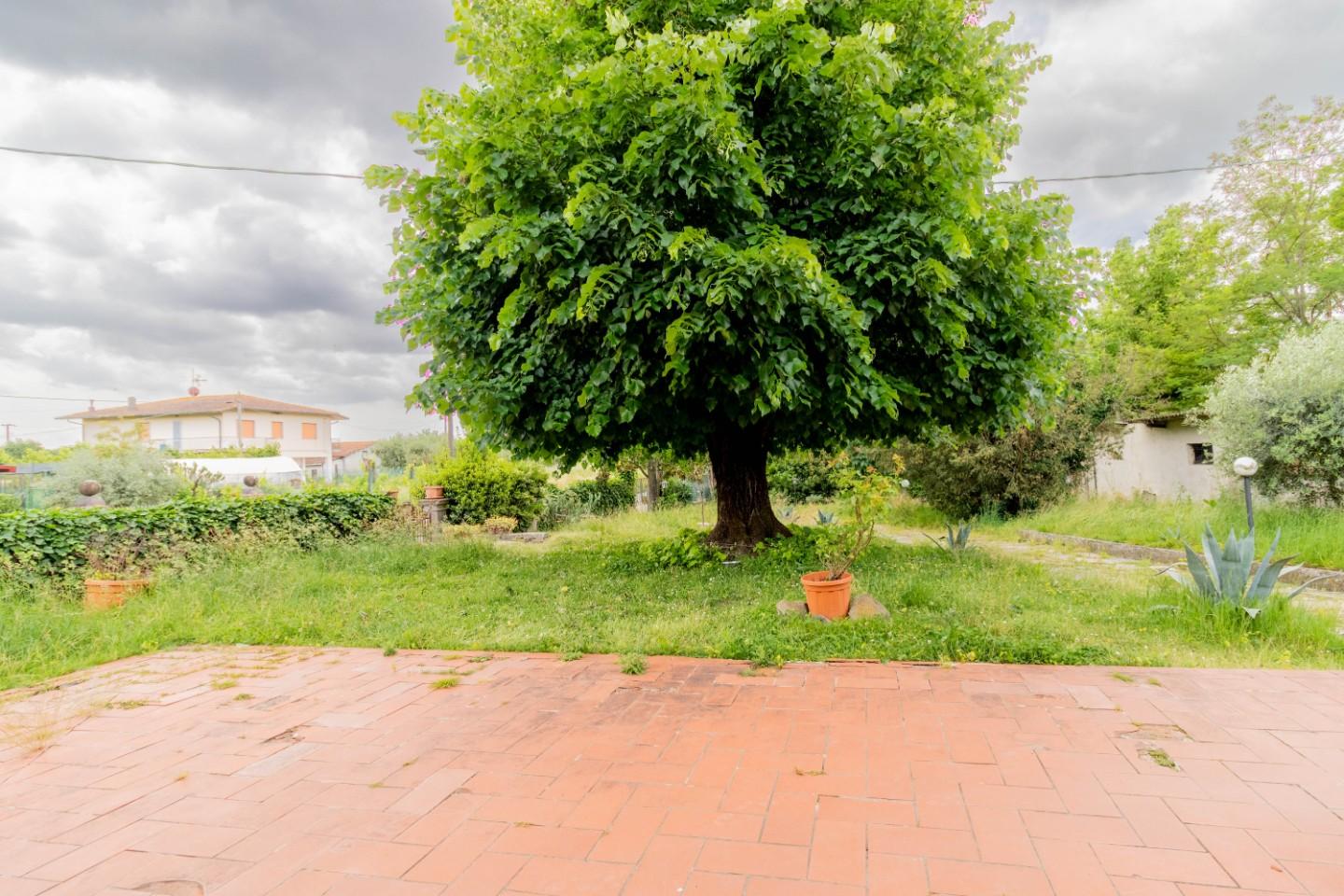 Foto annuncio 34
