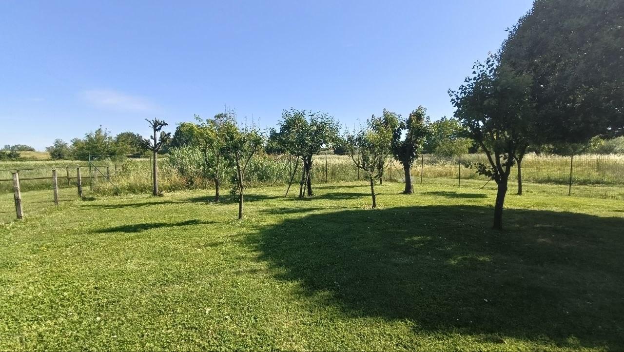 Foto annuncio 35