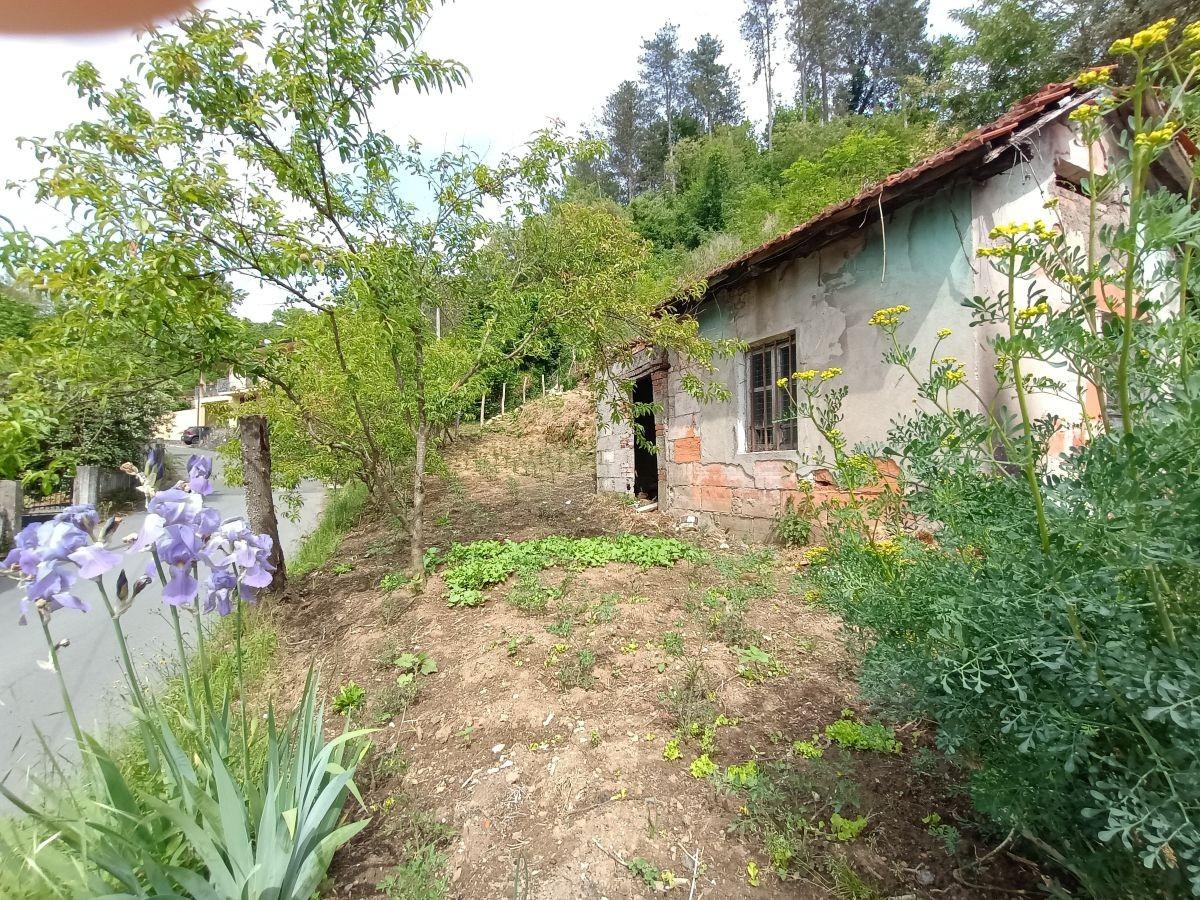 Foto annuncio 4