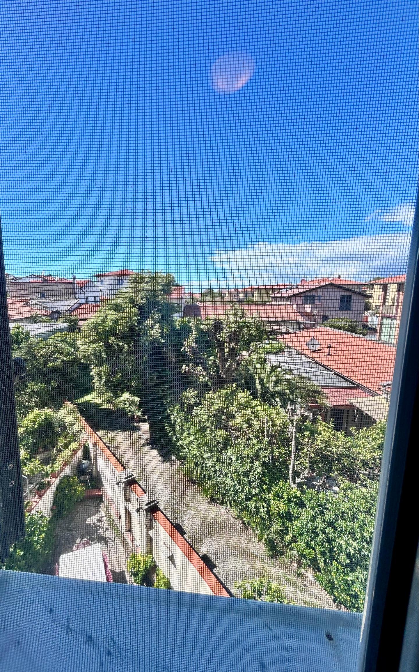 Foto annuncio 45