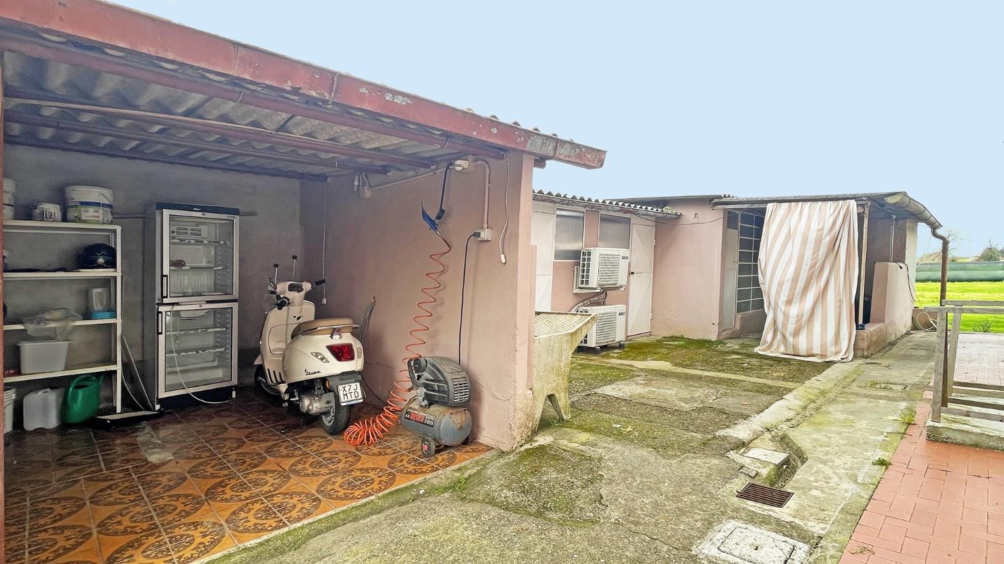 Foto annuncio 61
