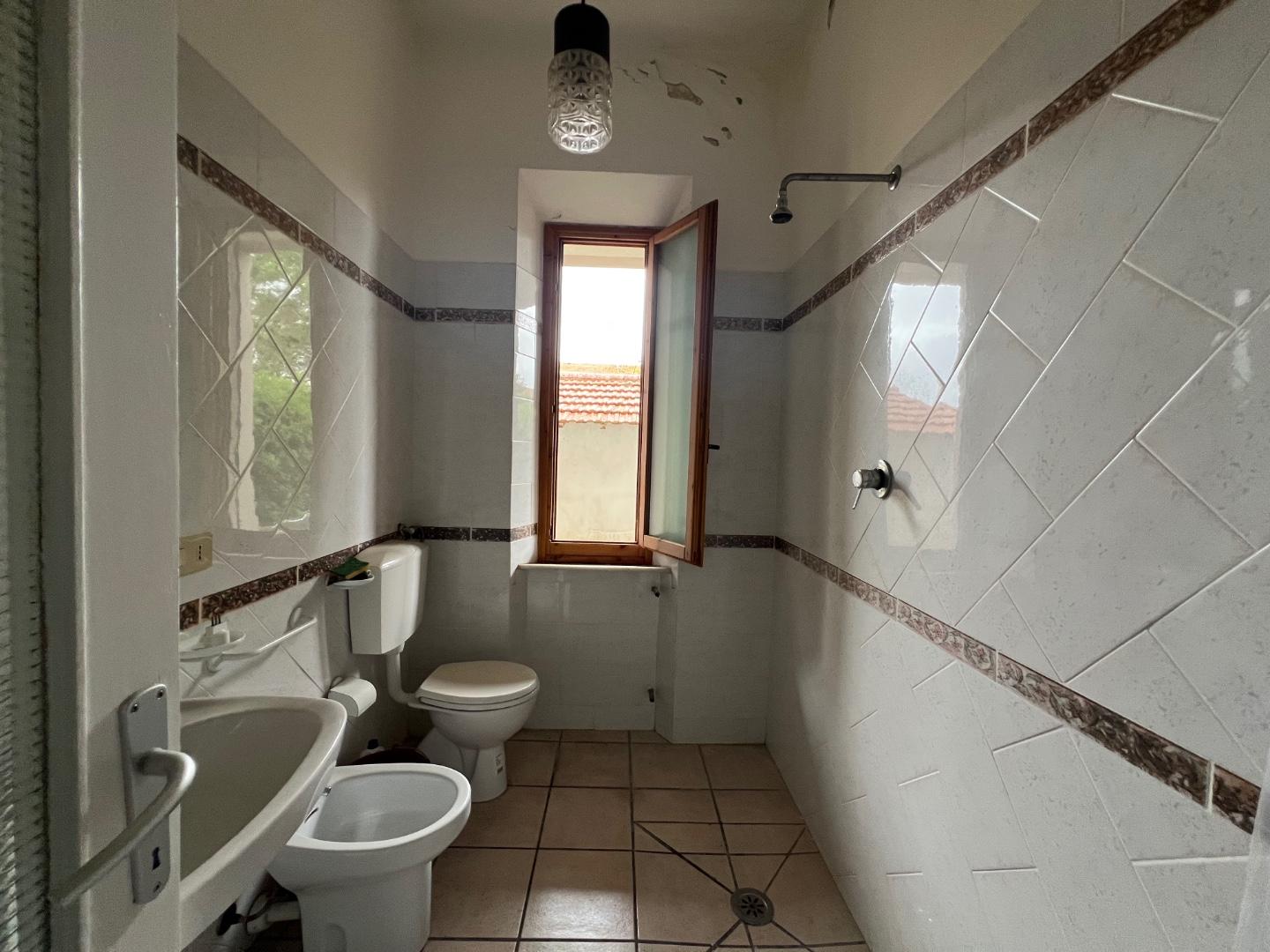 Foto annuncio 29