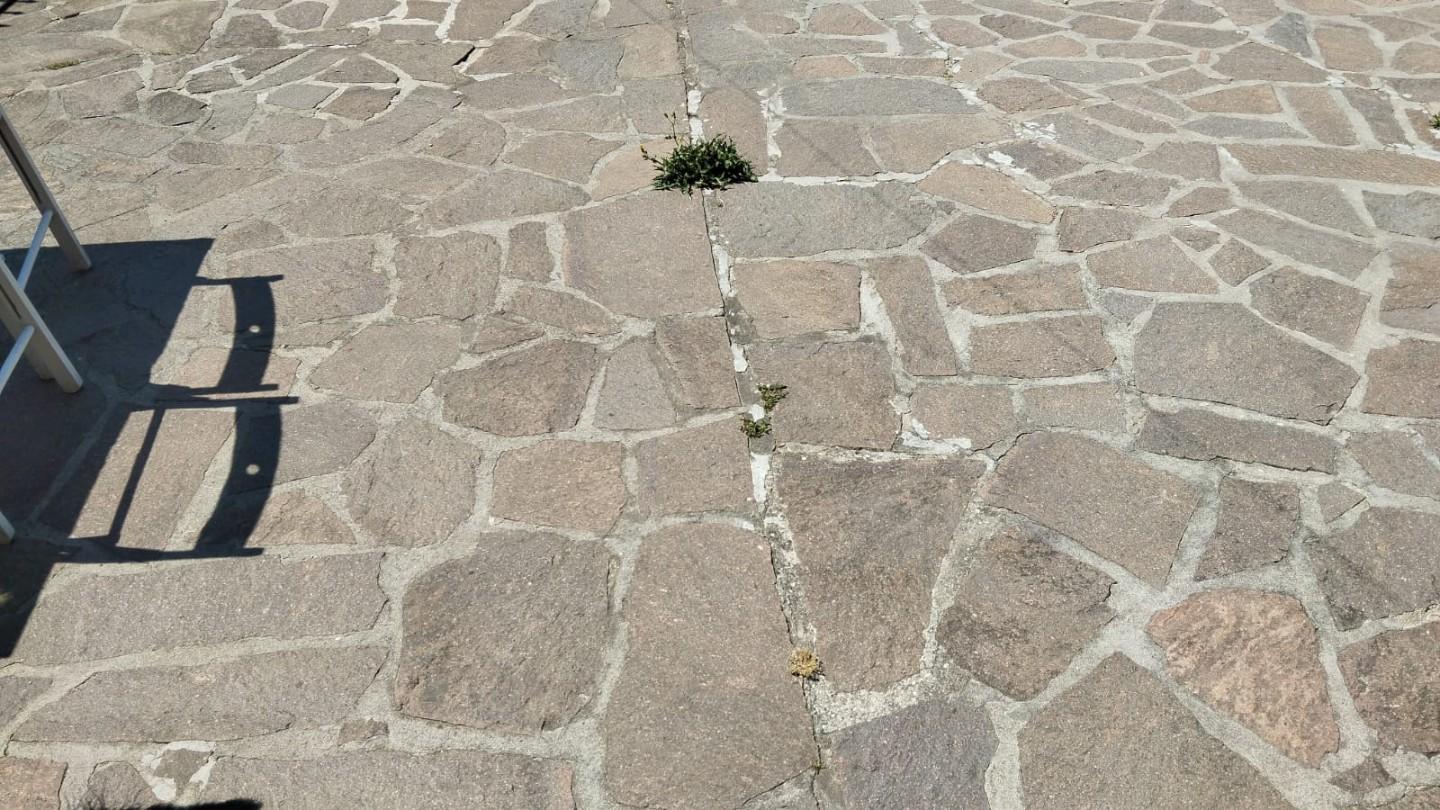 Foto annuncio 4