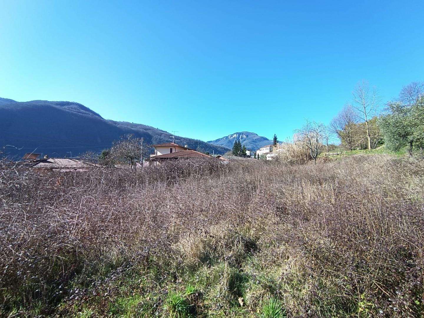 Foto annuncio 5