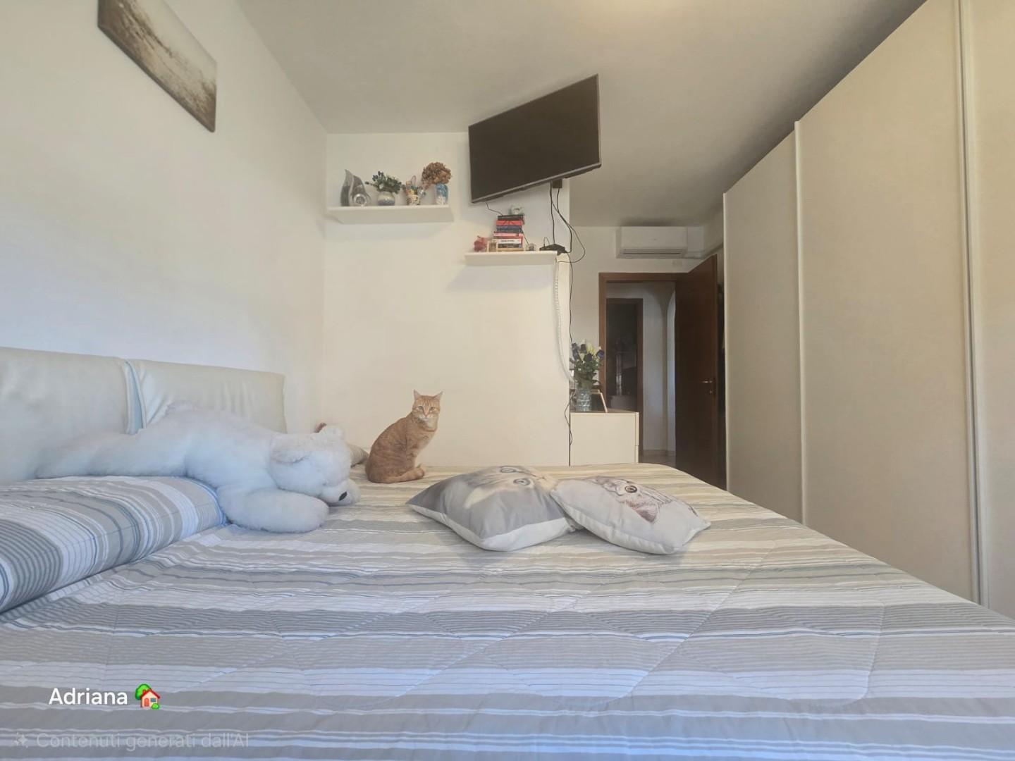 Foto annuncio 21