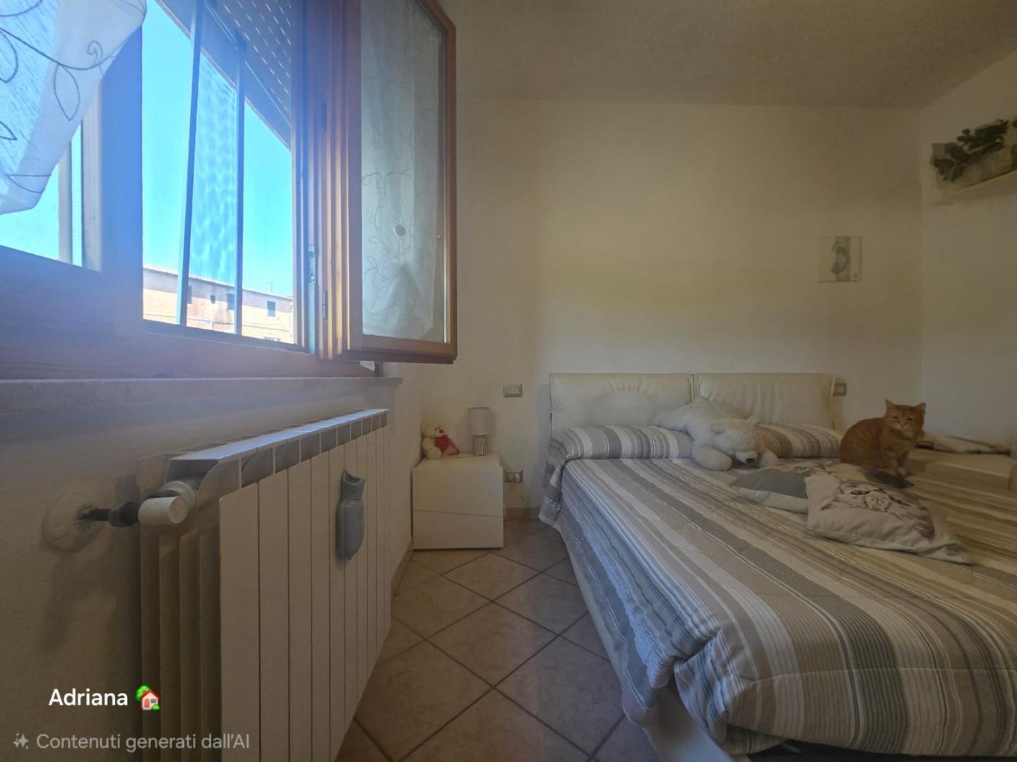 Foto annuncio 17
