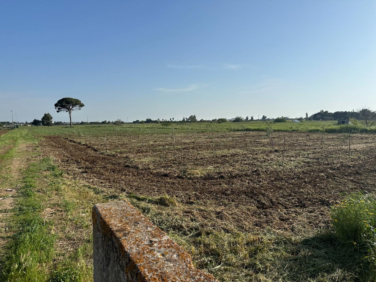 Foto annuncio 11