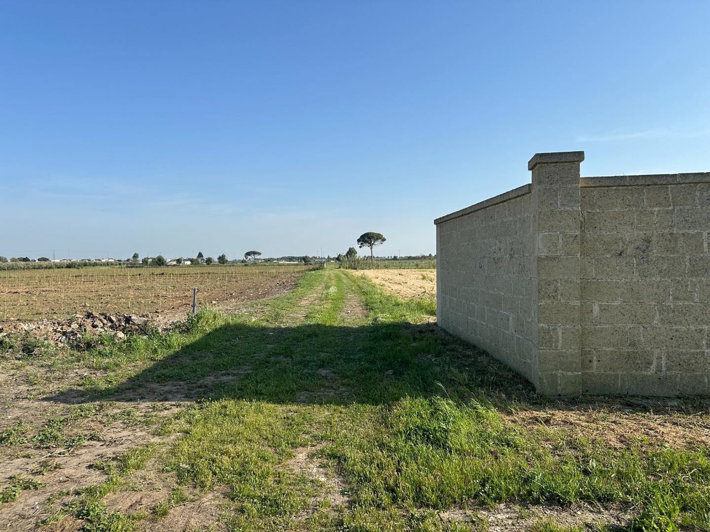 Foto annuncio 5