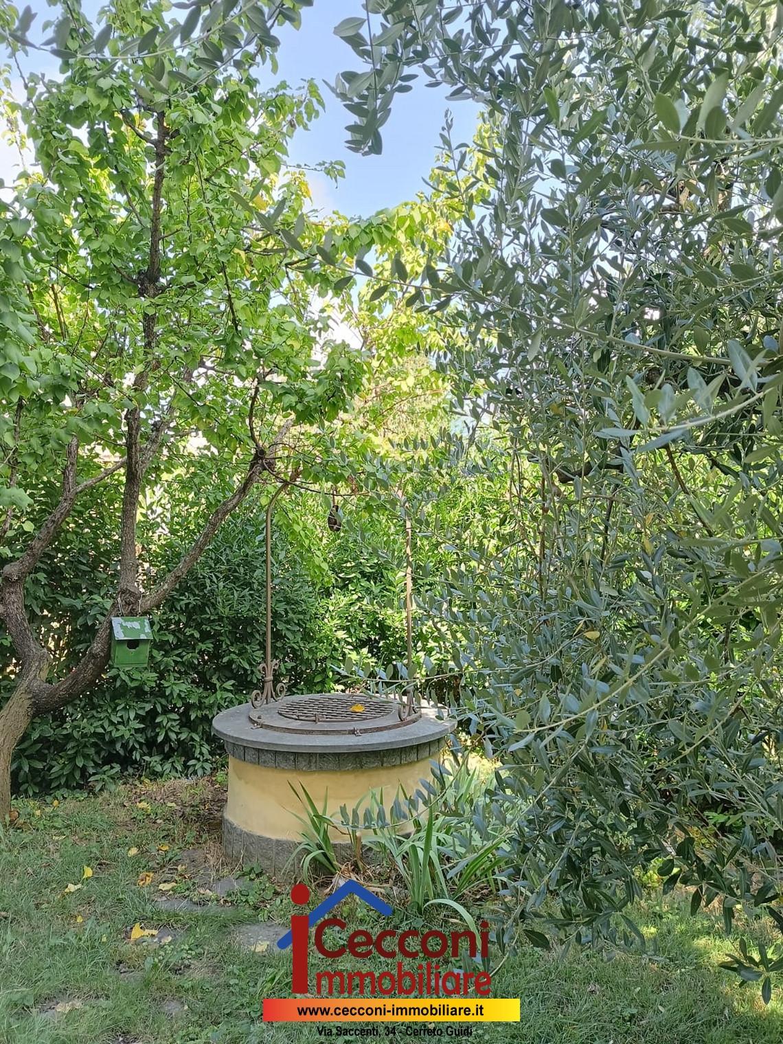 Foto annuncio 11