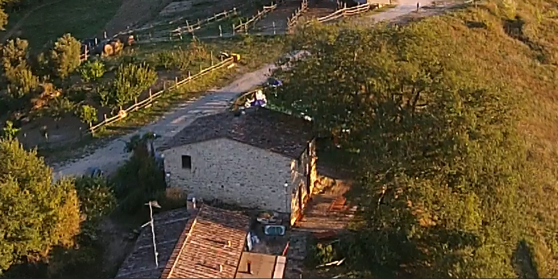 Foto annuncio 29