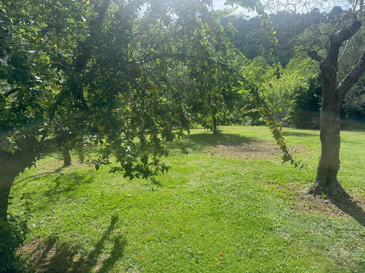 Foto annuncio 19