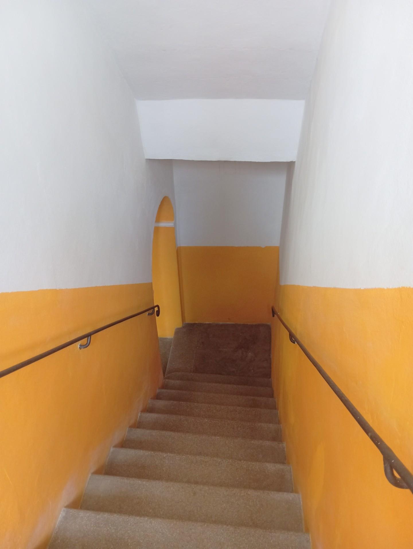 Foto annuncio 17