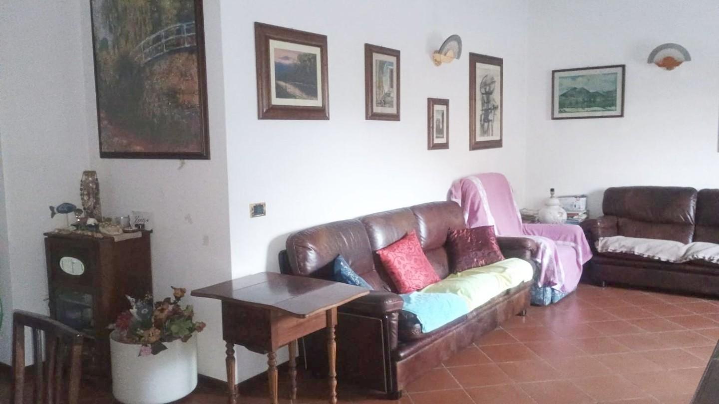 Foto annuncio 8