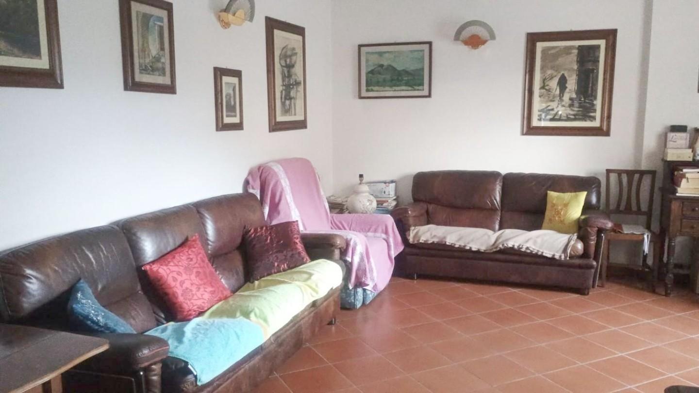 Foto annuncio 7