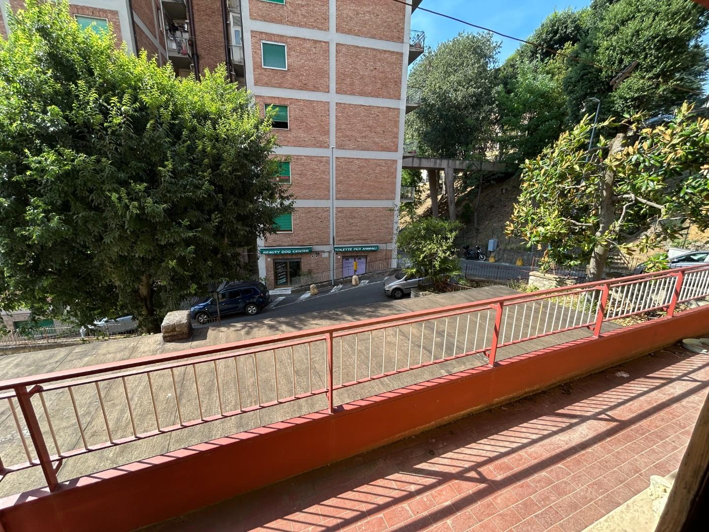 Foto annuncio 4