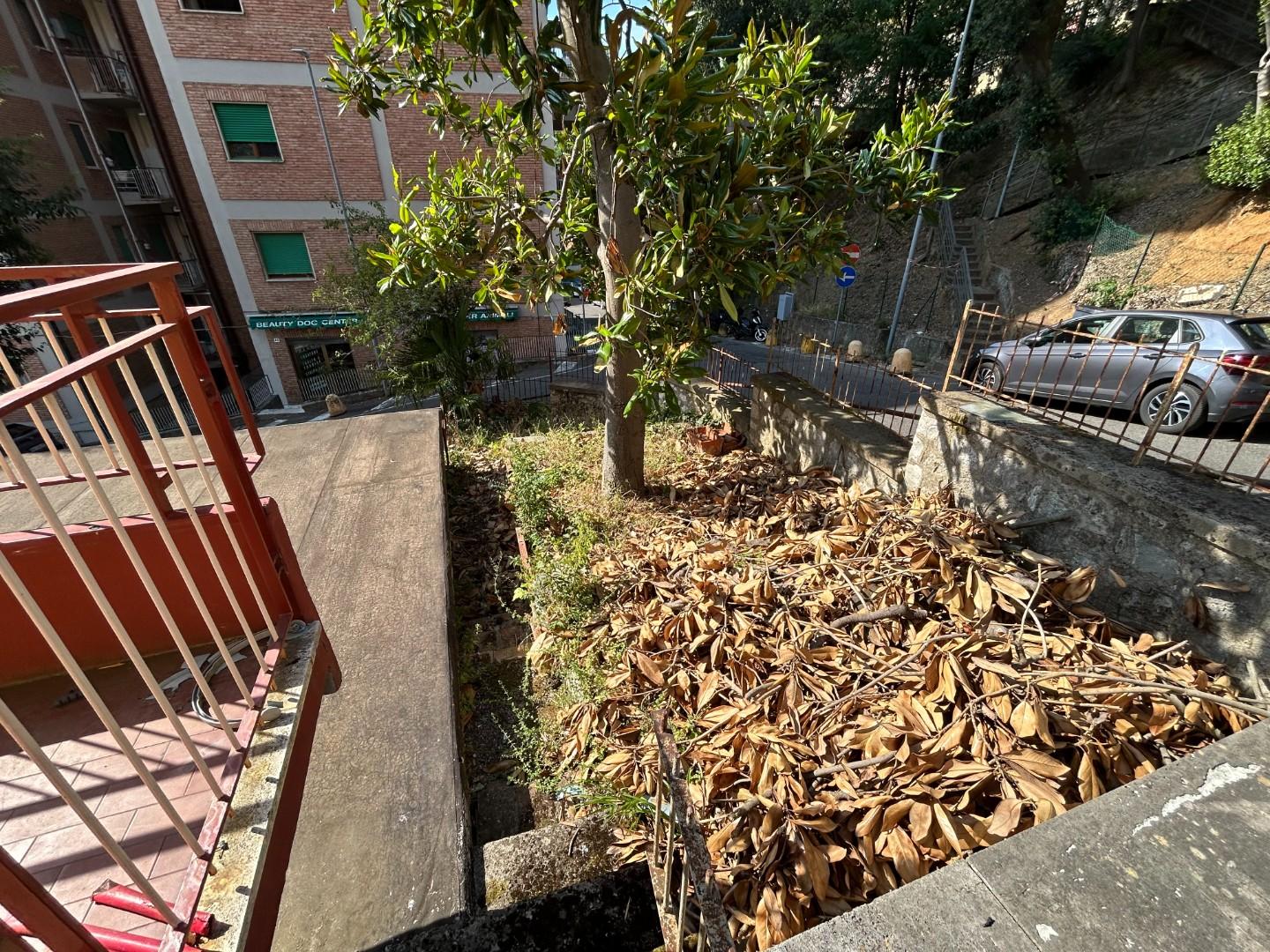 Foto annuncio 8