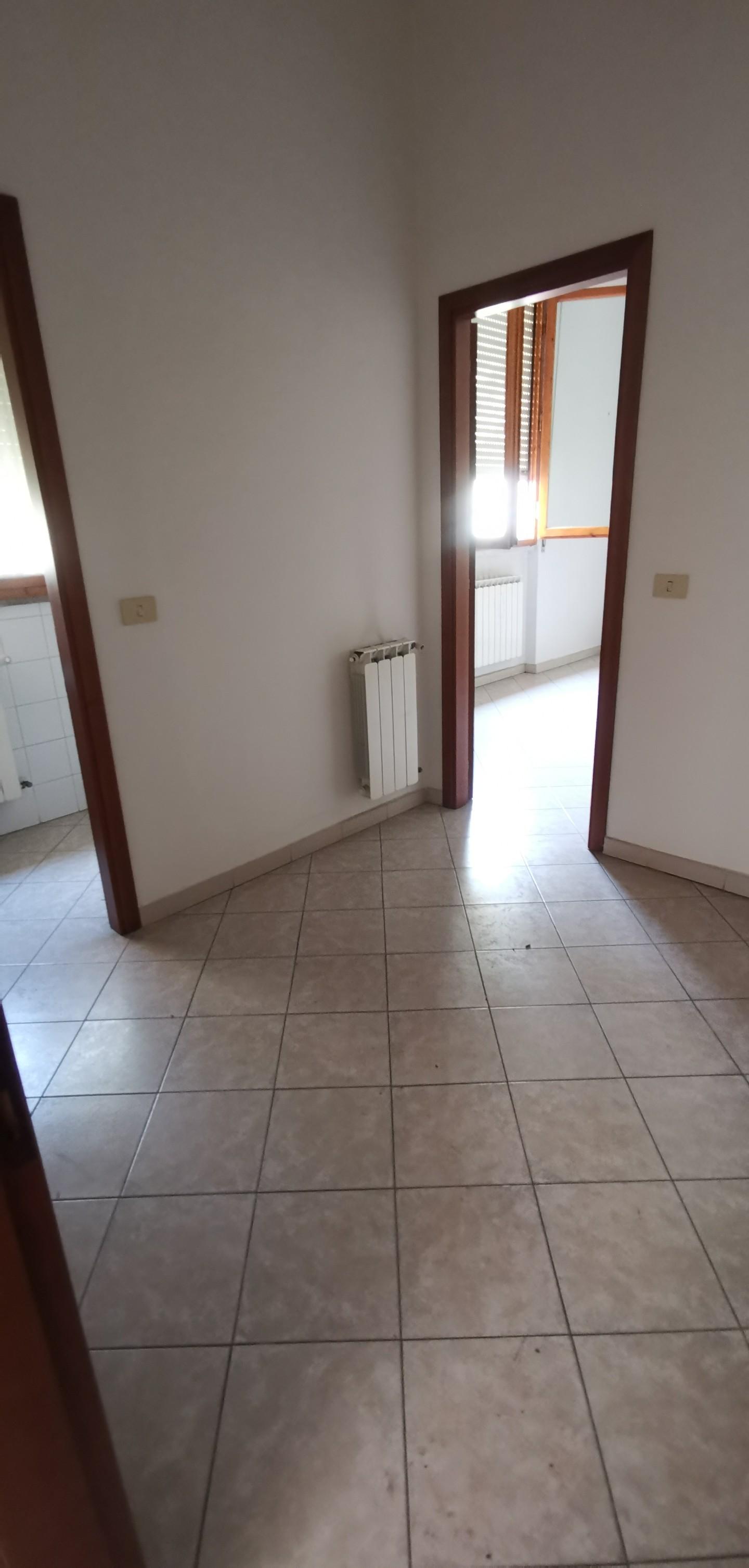Foto annuncio 6