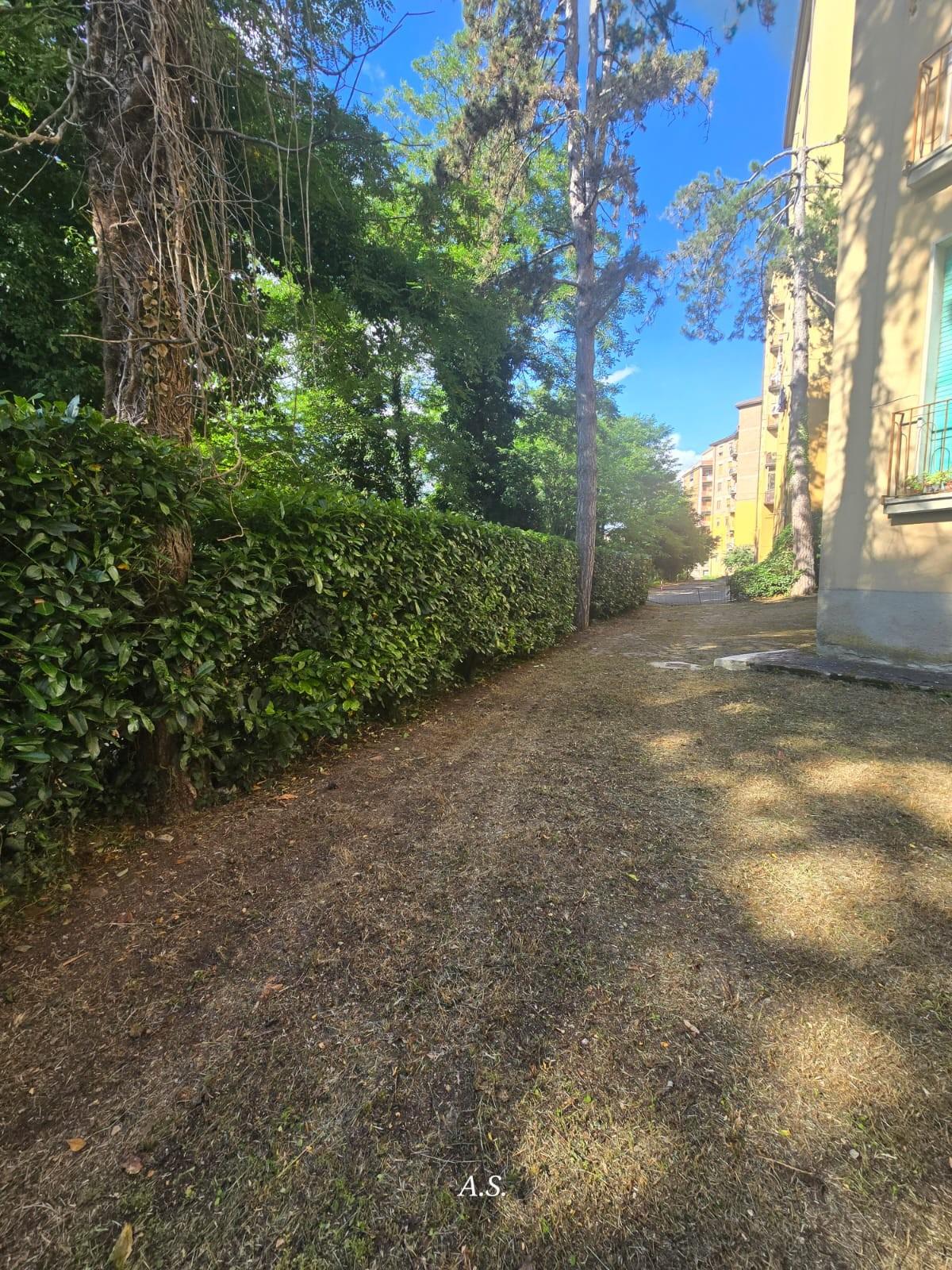 Foto annuncio 33