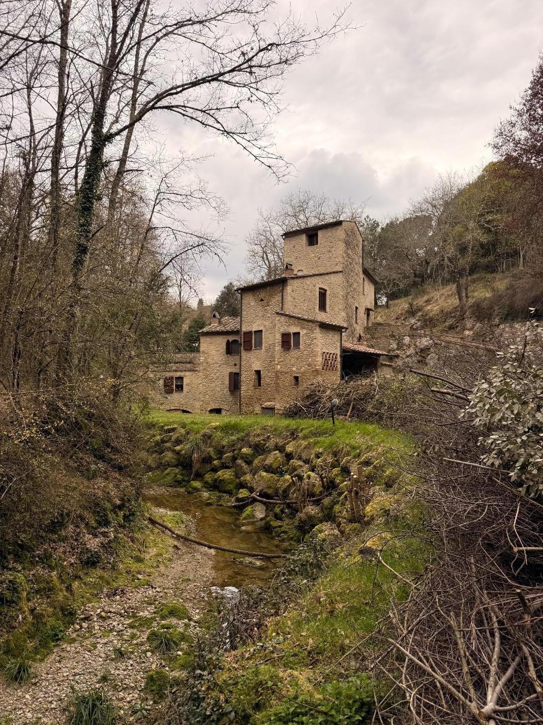 Foto annuncio 1