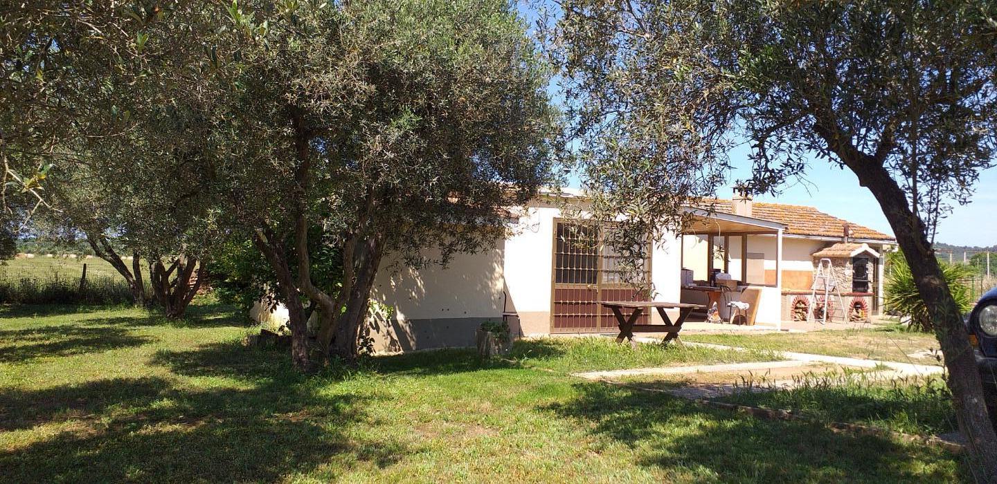 Foto annuncio 5