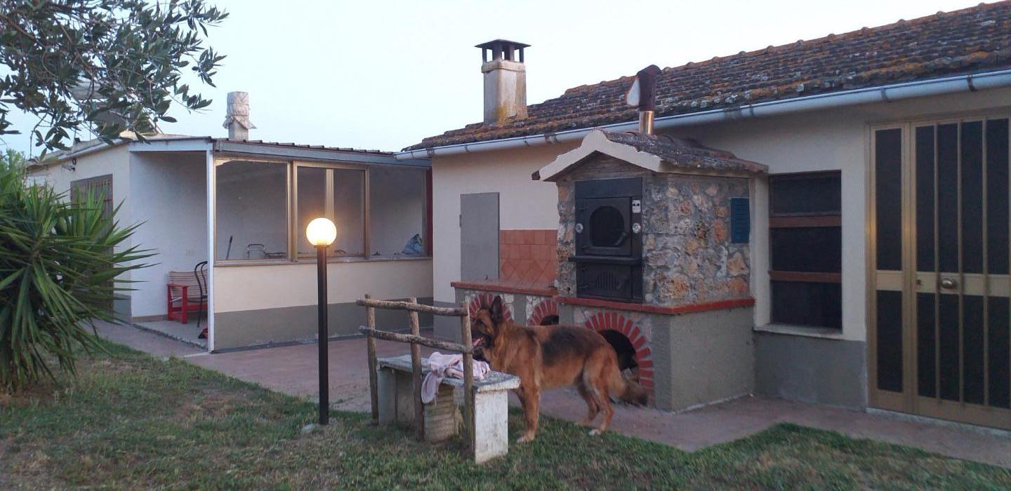 Foto annuncio 4