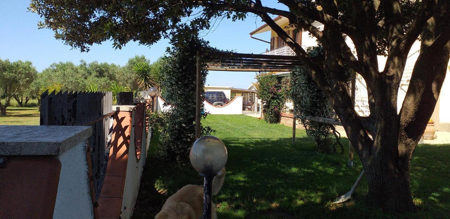 Foto annuncio 1