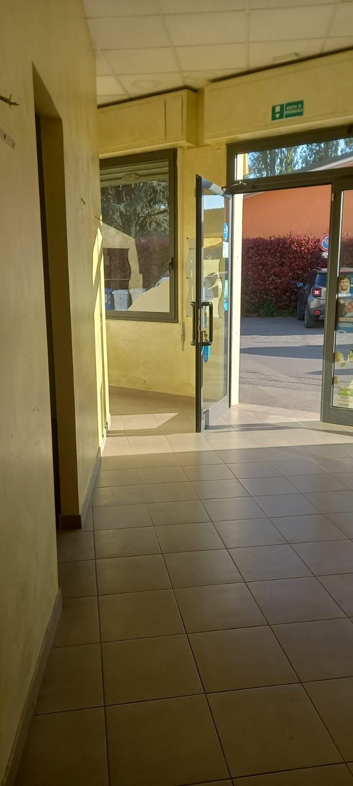 Foto annuncio 7