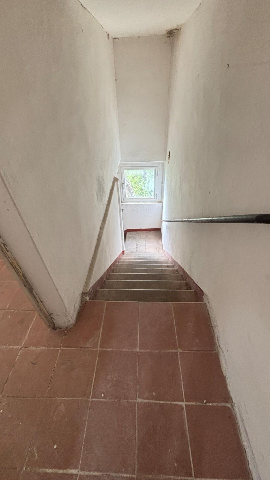 Foto annuncio 22