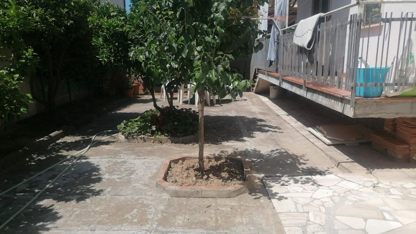 Foto annuncio 16