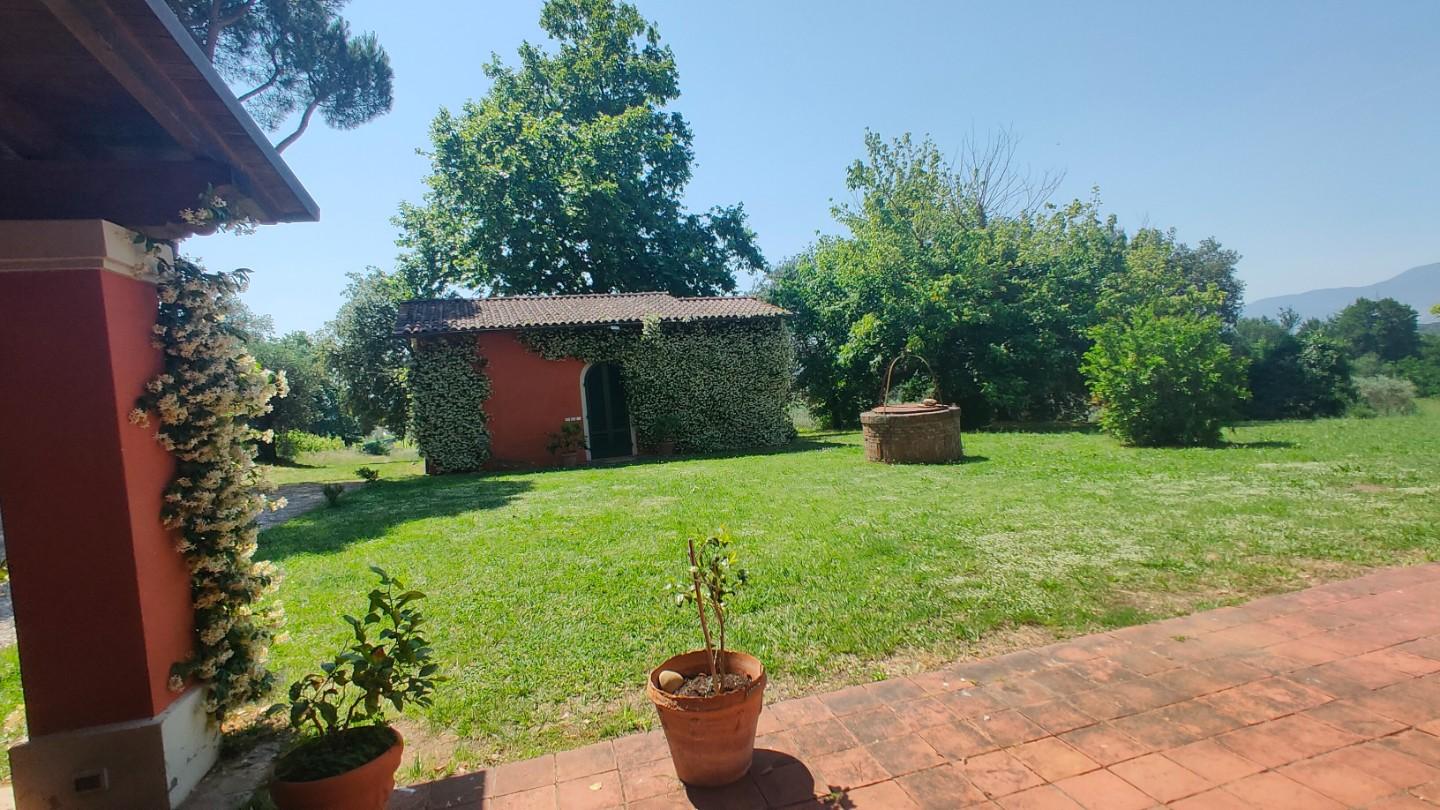 Foto annuncio 4