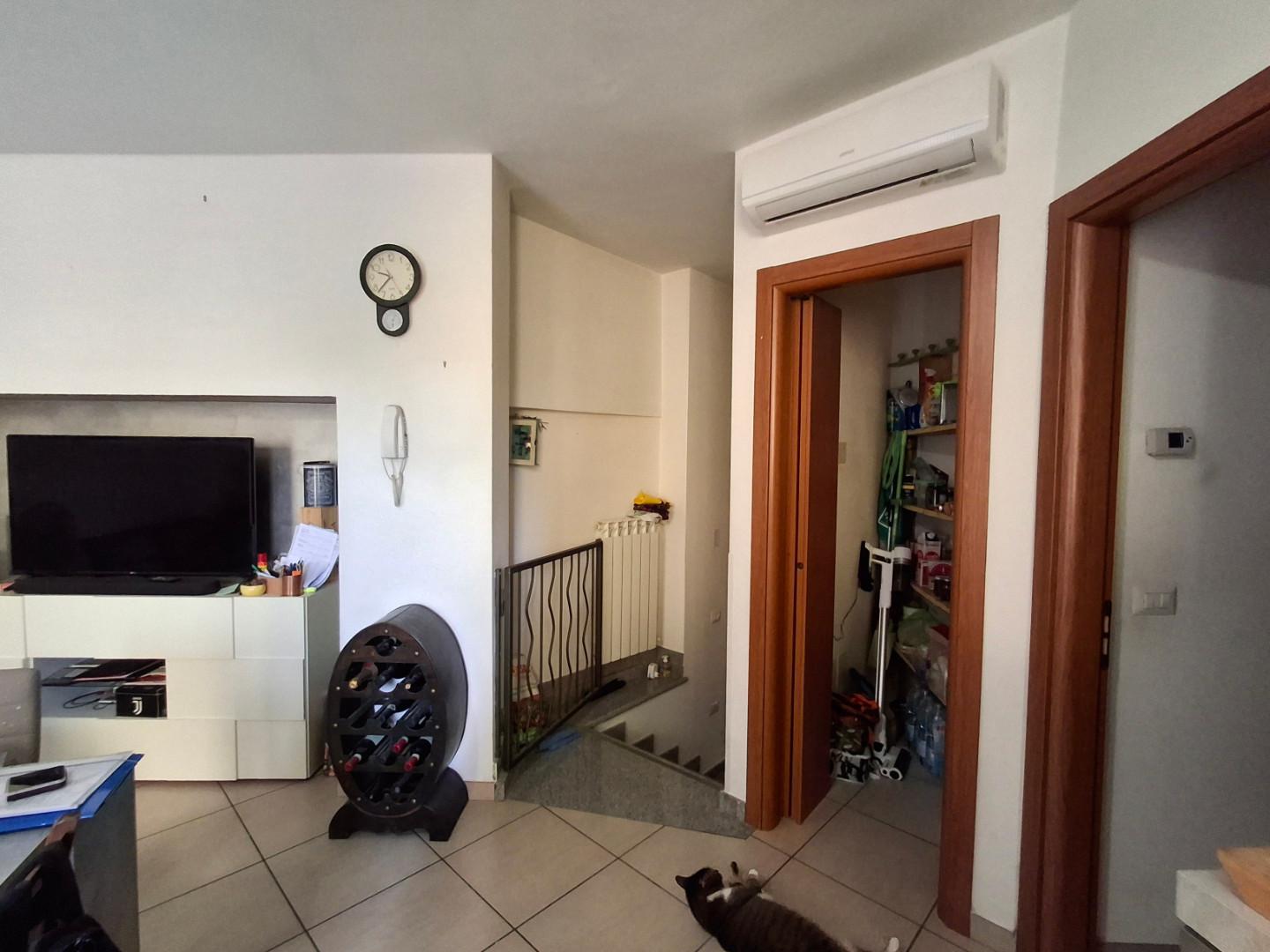 Foto annuncio 5