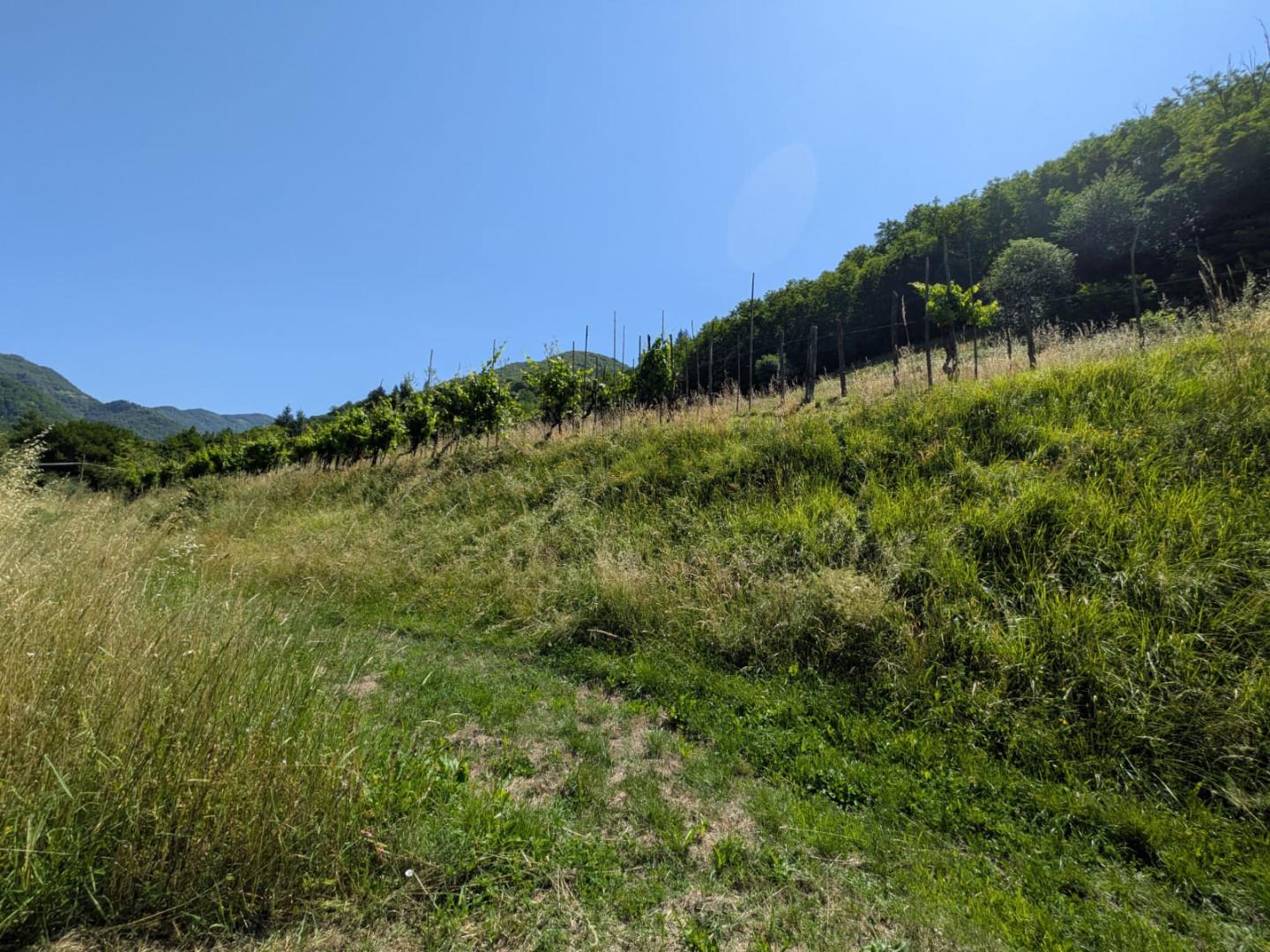 Foto annuncio 34
