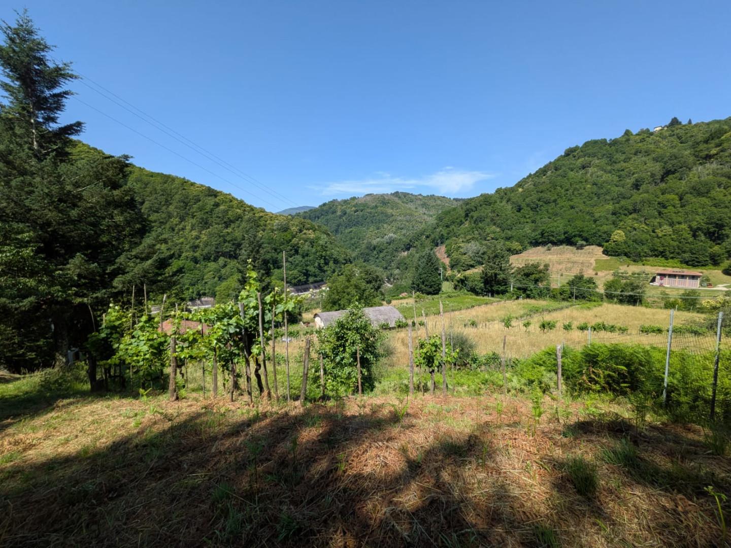 Foto annuncio 41