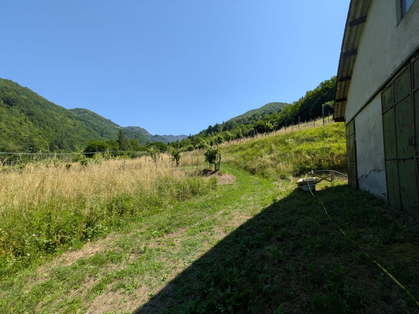 Foto annuncio 33